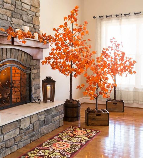 Indoor/Outdoor Electric Lighted Maple Trees | Lighted Accents | PlowHearth Casa Halloween, Fall Living Room Decor, Maple Trees, Fall Living Room, Halloween Tattoo, Halloween Front Porch, Fall Thanksgiving Decor, Autumn Decorating, Fall Front Porch