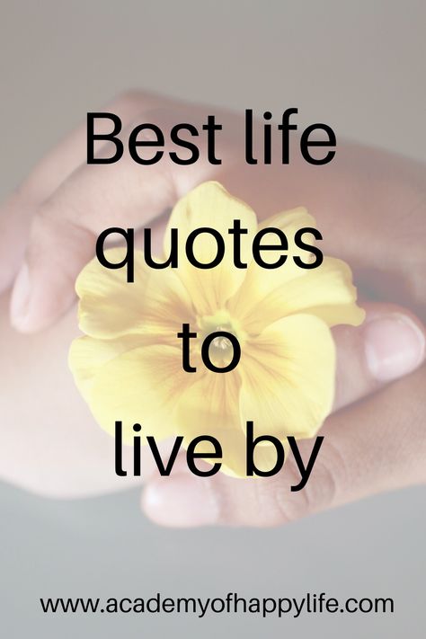 Meaningful Life Quotes Inspiration Wise Words, Word Of The Day Positive, Deep Life Quotes Wisdom, Hope Quotes Positive, Laughter Quotes Life, Life Positive Quotes, Quotes Literature, Family Quotes Inspirational, Life Sayings