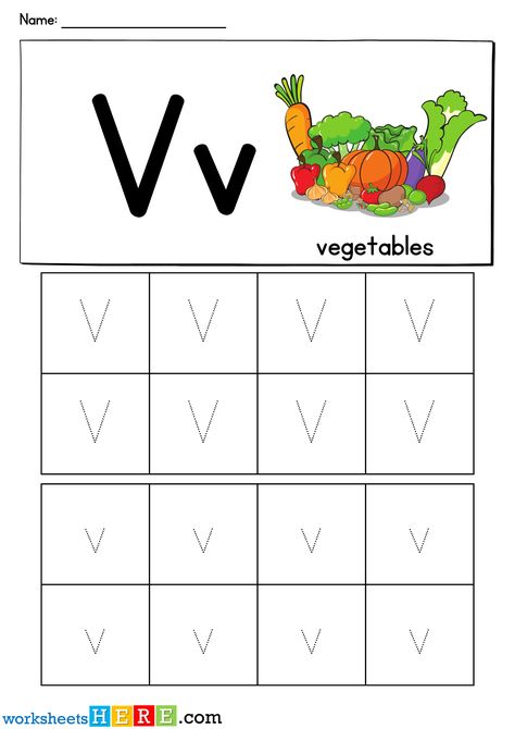 Letter V Tracing Printable PDF Worksheet For Kindergarten Students - WorksheetsHere.com V Words Preschool, Letter V Worksheets For Preschool, Letter V Tracing, Letter V Printables Free, Letter V Tracing Worksheet, Kindergarten Tables, Letter V Worksheets, Tracing Alphabet Letters, V Words