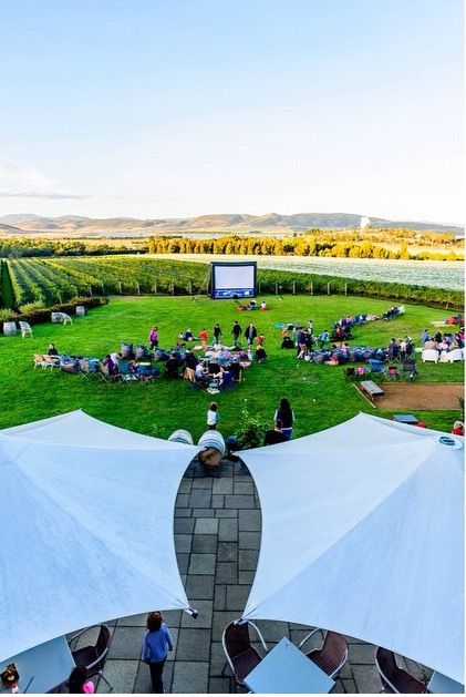 Outdoor Cinema #events #vineyard #frogmorecreek Golf Charity Event, Club Skirt, Club Skirts, Outdoor Cinema, Charity Event, Golf Course, Event Planning, Filmmaking, Golf Courses