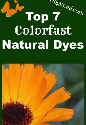 Not So Fugitive Natural Dyes: Top Seven Colorfast Natural Dyes Dye Plants, Tinta Natural, Rose Madder, Dyeing Yarn, Diy Dye, Dyeing Fabric, Natural Dye Fabric, Eco Dyeing, Primary Colours