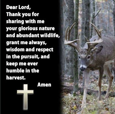 A Dixie Lady Deer Hunter: Wildlife Prayer Hunting Prayer, Hunting Meme, Hunter's Prayer, Whitetail Hunting, Hunting Shop, Compound Bows, Hunting Quotes, Deer Hunting Tips, Deer Meat