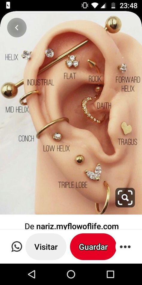 Pin by Alyssa Neville on Piercings in 2021 | Pretty ear piercings, Ear piercings chart, Types of ear piercings Peicing Ideas Ear Names, Labeled Ear Piercings, Eat Piercings Chart Names, Ear Piercing Placement Chart Names, Piercings Chart, Piercings Bonitos, Ear Piercings Industrial, Different Ear Piercings, Ear Peircings