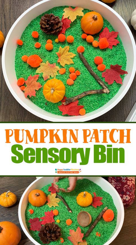 Pom Pom Pumpkin Patch Sensory Bin - Happy Toddler Playtime Pumpkin Sensory Bin Preschool, Pumpkin Sensory Bin, Pumpkin Sensory, Pumpkin Patch Activities, Activities For One Year Olds, Toddler Sensory Bins, Fall Preschool Activities, Toddler Sensory, Fall Preschool