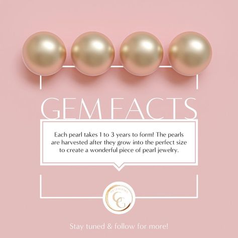 💎 Gem Facts: Pearls Take Time 💎 Think about how many beautiful pearls are being worn by jewelry-loving people all over the world... Each one of those pearls took between a year and three years to come to fruition! Then, the pearls are harvested after they grow into the perfect size to create a wonderful piece of pearl jewelry. Jewellery Branding, Jewelry Photos, Loving People, Jewelry Magazine, Post Ideas, Creative Jewelry, Post Design, Love People, Take Time