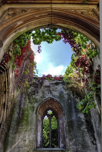 21 Hauntingly Beautiful Photos of Churches Overgrown with Vegetation - Photography Abandoned Places, Open Door Photography, Abandoned Cathedral, Door Photography, Abandoned Churches, Haunting Photos, Tunnel Of Love, Abandoned Amusement Parks, Castle Ruins