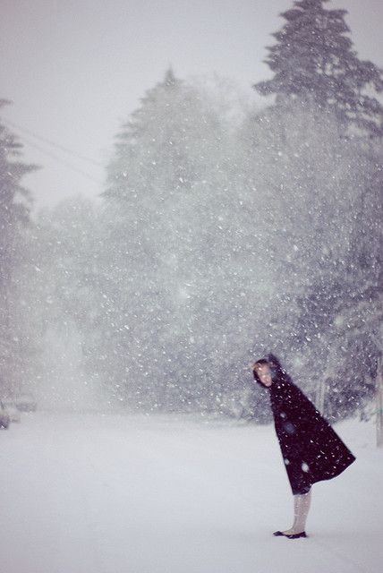 Through the snow. Snow Outside, I Love Snow, Winter's Tale, I Love Winter, Winter Love, Winter Magic, Winter Beauty, Snow Scenes, Snowy Day