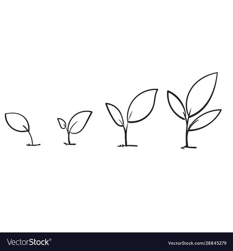 Tiny Habits, Growing Sprouts, Tiny Habit, Doodle Style, Hand Drawn Vector, Sprouts, Png Images, Line Art, Hand Drawn