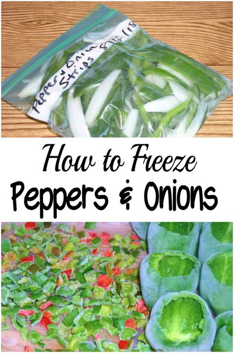 How to Freeze Peppers & Onions – Haphazard Homemaker Freeze Bell Peppers, How To Freeze Peppers, Freezing Green Peppers, Freeze Peppers, Freezing Produce, Freeze Vegetables, Freezing Bell Peppers, Green Pepper Recipes, Freezing Peppers