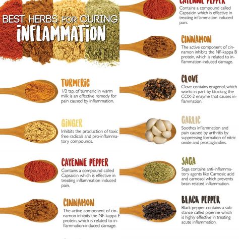 Alchemik Colloidal 🇨🇦 on Instagram: “🔍Herbs for helping with inflammation!  __________________________________________  #herbs #inflammation #vitamins #benefits #uses #healthy…” Vitamins For Inflammation, Anti Inflammation Herbs, Home Remedy For Inflammation, Best Herbs For Inflammation, Reducing Inflammation Natural Remedies, Inflammation Herbs, Herbs To Reduce Inflammation, Anti Inflammation Herbs And Spices, Spices Health Benefits