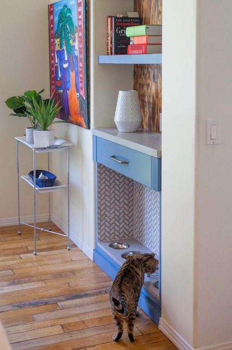 Cat Feeding Area, Cat Feeding Shelf, Recessed Wall Shelves, Dog Cabinet, Curated Kitchen, Banquette Ideas, Cat Feeding Station, Pet Feeding Area, Pet Station