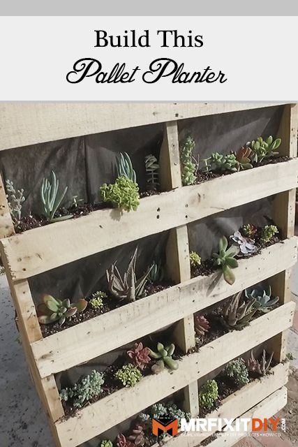 Paver Walkway Diy, Vertical Pallet Garden, Pavers Diy, Herb Garden Pallet, Pallet Projects Garden, Mr Fix It, Diy Herb Garden, Rose Gardens, Vertical Garden Diy