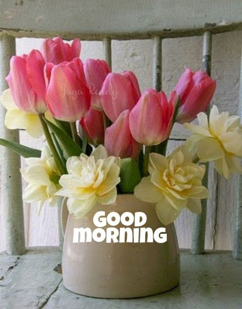 3720+ Good Morning Pictures, Images, Photos - Page 2 Tulpen Arrangements, Tulips In A Vase, Tulips Arrangement, Tulips In Vase, White Tulips, Beltane, Deco Floral, Flowers Garden, Arte Floral