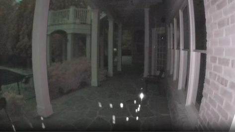 Ring doorbell camera catches bizarrely fascinating sight outside the front door | WooGlobe - TV | Scoopz Ring Door Bell Camera Funny, Doorbell Camera, Road Rage, Ring Doorbell, Strange Things, Things Happen, Losing A Pet, Eminem, Front Door