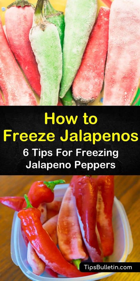 Can You Freeze Jalapenos Whole, Jalapeno Freezing, Recipes Using Jalapeno Peppers, Can You Freeze Jalapeno Peppers, Frozen Jalapeno Recipes, Uses For Jalapeno Peppers, Freeze Jalapenos How To, Freezing Jalapeños, How To Freeze Jalapeno Peppers