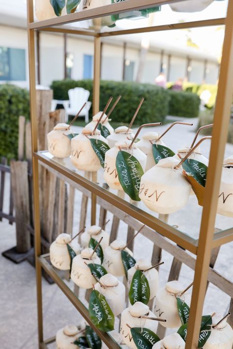 Tropical Florida Wedding Reception Decor, Gold Stand with Personalized Coconuts Place Cards | Tampa Bay Wedding Photographer Lifelong Photography Studio Branded Coconuts Wedding, Coconut Seating Chart Wedding, Coconut Welcome Drink Wedding, Coconut Stand Wedding, Coconut Bar Wedding, Coconut Seating Chart, Coconut Wedding Decor, Tropical Reception Decor, Coconut Decoration Ideas