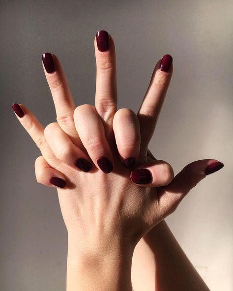 power to your fingertips with gitti no_03, an intense dark red. these cherry red nails looks so yummy. Cherry Red Nails, Nails Looks, Colors Inspiration, So Yummy, Cherry Red, Red Nails, Color Inspiration, Dark Red, Vitamin C