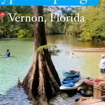 Must See Florida on Instagram: "Summer in #Florida is best spent at the springs. Don’t you think? 🌴💦🐠🌿🌺 📷: @sea.air.ah_j 📍Cypress Springs, Vernon, Florida Tag #mustseeflorida to share your experience in FL🍊R🌴DA! - Follow @mustseeflorida" Florida!! Taylor Swift, Tavernier Florida Keys, Florida Vs Florida State, John’s Pass Florida, Florida Meme, Springs, Places To See, Thinking Of You, Florida