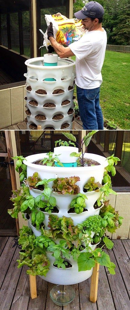 The Garden Tower grows plants vertically, enabling you to grow 50 plants in a very small space -- the ultimate square foot garden with integrated composting! Most container gardens only allow planting Garden Tower, Indoor Vegetables, Vertical Vegetable Garden, Indoor Vegetable Gardening, Plants Growing, Tower Garden, Square Foot Gardening, Hydroponic Gardening, Small Space Gardening