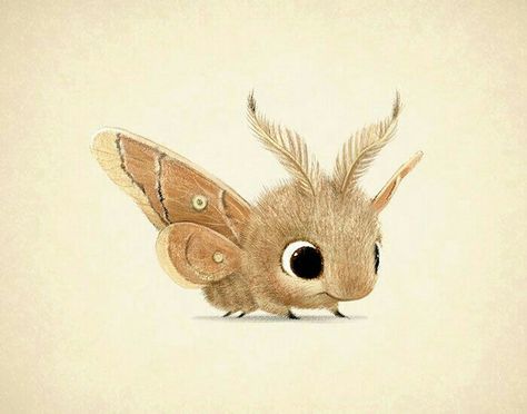 Cute Little Moth. Animals Elephants, Art Mignon, Cute Animal Illustration, Art Et Illustration, Arte Animal, Pencil Portrait, Art And Illustration, Drawing Tutorials, Cute Animal Drawings