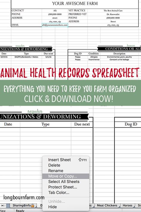 Learn how to use and download my comprehensive animal health records spreadsheet. Almost every species you need and every category you need to keep track of. #animal #farm #homestead #hobbyfarm #animalrecords #recordsspreadsheet #spreadsheet #animalspreadsheet #animalrecords #vetrecords #veterinarian #hobbyfarmer #smallfarm #homesteading via @https://www.pinterest.com/longbournfarm/ Farm Record Keeping, Dog Shih Tzu, Animal Breeding, Farm Management, Starting A Farm, Raising Pigs, Farm Books, Life Hacks Organization, Farm Plans