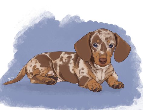 Cute Dachshund Drawings, Dachshund Sketch, Dachshund Drawing, Dachshund Cartoon, Dachshund Illustration, Puppy Illustration, Brown Dachshund, Puppy Portraits, Dog Mommy