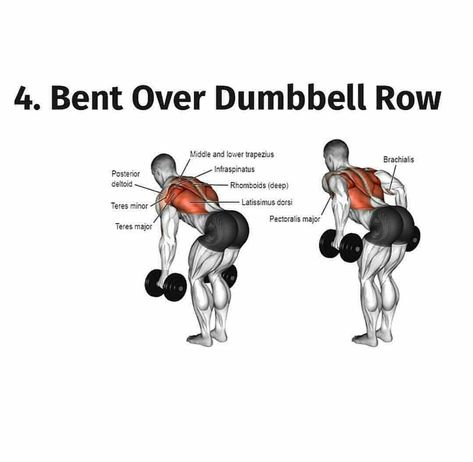 Athlete Diet, Dumbbell Row, Monday Workout, Latissimus Dorsi, Muscle Up, Diet Exercise, Back Day, Dumbbell Workout, Back Exercises