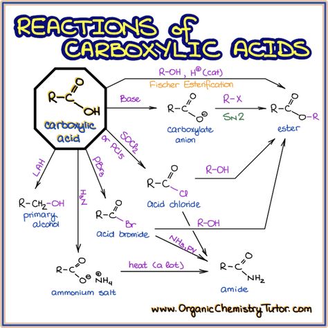 Organic Chemistry Tutor — Online Organic Chemistry Tutor Aldehyde Ketone And Carboxylic Acid, Mind Map Ideas, Chemistry Book Pdf, Organic Chemistry Tutor, Organic Chemistry Notes, Chemistry Class 12, Organic Chemistry Reactions, Organic Chem, Organic Chemistry Study