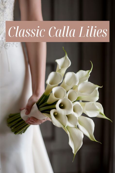 Sophisticated Elegance: Classic Calla Lily Bouquets Calls Lily Wedding Bouquet, Cali Lilly Bouquet, Cala Lillies Bride Bouquet, Wedding Bouquet Calla Lily, Calla Lilly Bouquets Wedding, White Theme Wedding Decor, Lillies Wedding Boquet, White Bridal Bouquet Calla Lilies, White Wedding Flowers Bouquet Calla Lily