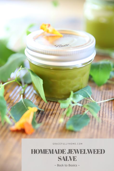 DiY Jewelweed Salve at Home - Gracefully Home Jewelweed Salve Recipe, Jewelweed Salve, Botanical Medicine, Salve Recipes, Christian Homemaking, Lotion Recipe, Spider Bites, Mosquito Bites, Water Source