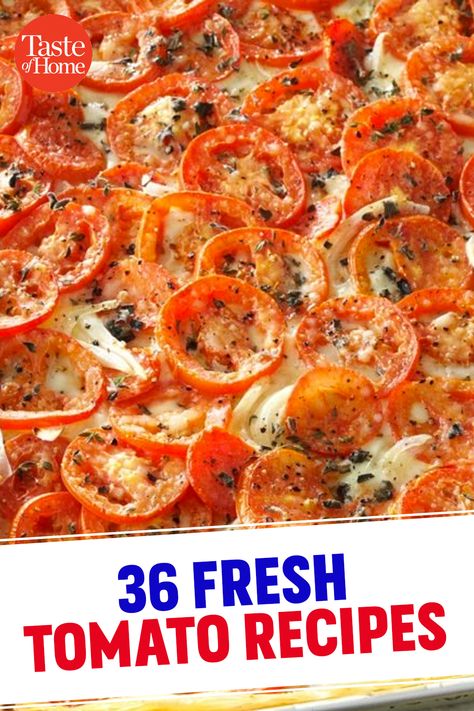 Fresh Tomato Freezer Recipes, Tomatoes As A Side Dish, Tomato Dish Recipes, Supper Ideas With Tomatoes, Appetizer Recipes With Tomatoes, Too Many Tomatoes Recipes For, What Can I Do With Fresh Tomatoes, Things To Make With Tomatoes From The Garden, Ways To Cook Tomatoes