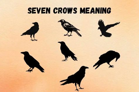 Seeing 7 Crows Spiritual Meaning and Symbolism | Spiritual Symbolism Spiritual Meaning, Crows, Meant To Be, Spirituality