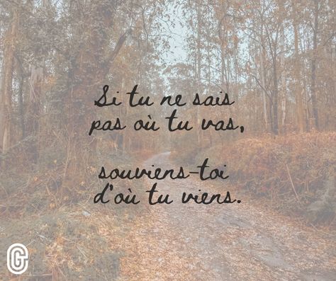 Généalogie, Famille, Racines, Origines - Citation, Inspiration... Citations Souvenirs, Citation Souvenir, Citation Force, Protection Tattoo, Kissing Booth, Genealogy, Coco, Manicure, Scrapbooking