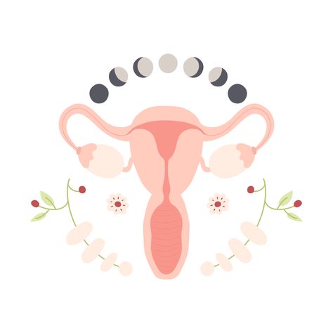 Menstrual Cycle Aesthetic, Uterus Health, Inner Seasons, Early Detection Saves Lives, Energy Activities, Moon Cycle, Female Reproductive System, Relaxing Activities, Feminine Art