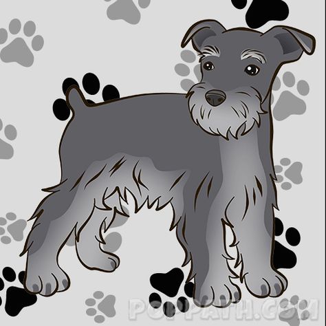 How To Draw A Schnauzer – Pop Path Schnauzer Drawing, Schnauzer Dogs, Soap Company, Outline Drawings, Scooby Doo, To Draw, Canvas Painting, Soap, Google Search