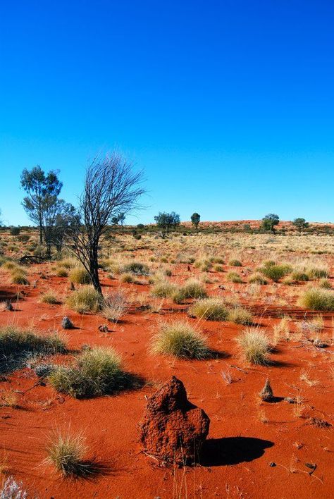 Great Victoria Desert, Australia Desert, Australian Landscapes, Australian Desert, Australia Landscape, Australian Outback, Outback Australia, Australian Travel, Desert Dream