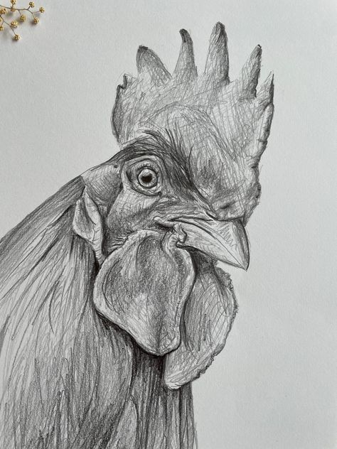 Pencil Sketch Portrait, Chicken Drawing, Chicken Images, Chicken Pictures, Farm Wall Art, Easy Drawing Steps, Pencil Sketch Drawing, Pencil Shading, Art Drawings Sketches Pencil