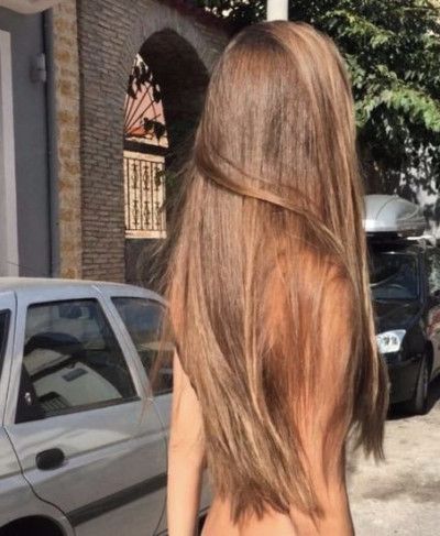 Natural Light Brown Hair, Light Brunette Hair, Hairstyles For All Hair Types, Rambut Brunette, Honey Brown Hair, Brown Hair Looks, Brown Hair Inspo, Brunette Hair With Highlights, French Braids