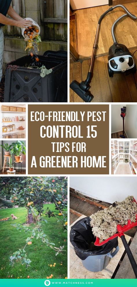 However, what if you’re seeking alternatives to these harsh chemicals? How can you safeguard your home against pests while avoiding toxic chemicals? This straightforward guide offers practical advice on the safest and most effective ways to identify and keep pests outside your home. By following these simple steps, you’ll be able to manage and prevent pest populations around your living space. #pest #pestcontrol #homemaintenance Clover Mites, Door Sweeps, Pest Prevention, Diy Pest Control, Best Pest Control, Pest Control Services, Toxic Chemicals, Hiding Places, House Cleaning