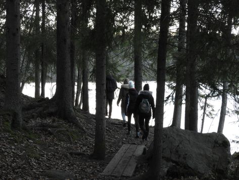 Chaotic Trio, Books Vibe, Forest Trip, Creepy Woods, Spooky Woods, English Film, Dark Summer, Snow Forest, Forest Photos