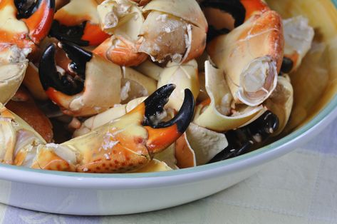 Bowl of Stone Crab Claws Jonah Crab Claws Recipe, Crab Claw Recipes, Cooking Dungeness Crab, Cooking Ham In Crockpot, Dungeness Crab Recipes, Stone Crab Claws, Crab Dishes, Fish Ideas, Stone Crab