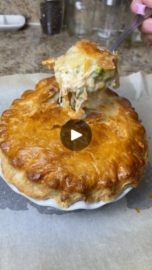 Broccoli Cheddar Pot Pie, Beef And Guinness Pie, Seafood Pot Pie, Broccoli Dinner, Seafood Pot, Weeknight Dinner Ideas, Chicken Entrees, Jerk Seasoning, How To Cook Beef