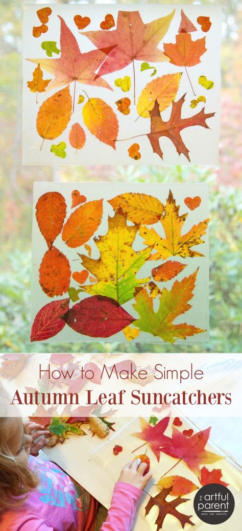 These beautiful autumn leaf suncatchers are made with transparent contact paper and fresh autumn leaves. Easy & gorgeous, this nature craft is for all ages. Leaf Suncatchers, Art Projects For Toddlers, Simple Art Projects, Projects For Toddlers, Nature Craft, Toddler Art Projects, Fall Preschool, Leaf Crafts, Sukkot