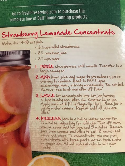 Strawberry Lemonade Concentrate Canning Lemonade, Strawberry Lemonade Concentrate Recipe, Strawberry Lemonade Concentrate, Lemonade Concentrate, Mini Farm, Home Canning, Strawberry Lemonade, Jams & Jellies, Preserving Food