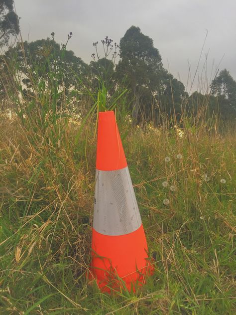 Aesthetic Traffic Cone, Traffic Cone Aesthetic, Industrial Moodboard, Junk Kouture, Traffic Cone, Whoop Whoop, Friends Aesthetic, Aesthetic Stuff, Reference Images