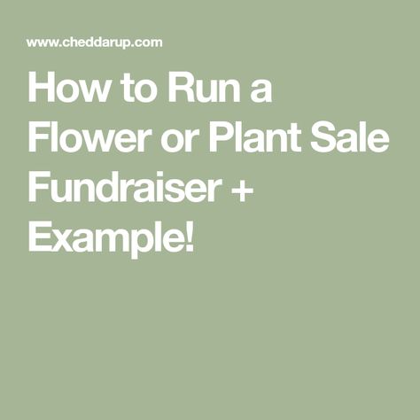 How to Run a Flower or Plant Sale Fundraiser + Example! Flower Fundraiser, Service Club, Fundraising Ideas, Ffa, School Fundraisers, Garden Club, Plant Sale, Be Successful, A Flower