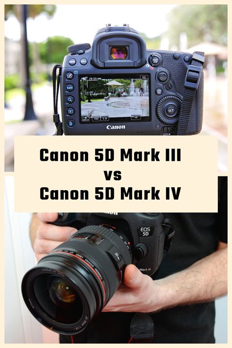 Canon Mark 5d Iii, Canon Mark 5 Iv, Best Photography Camera, Canon Mark Iii, Best Camera For Photography, Iso Settings, Channel Ideas, Trendy Photography, Canon 5d Mark Iv