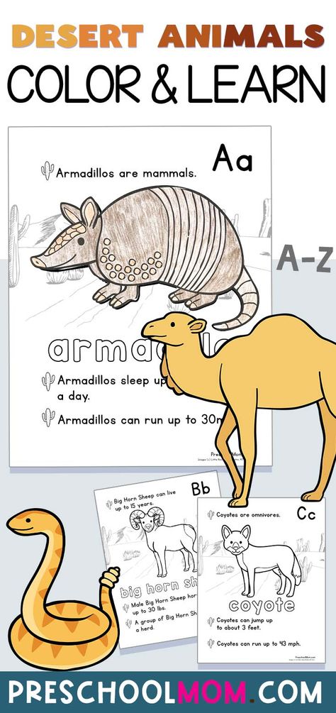 Desert Animals Drawing, Desert Animals Worksheet, Desert Animals Printable, Desert Animals Activities, Desert Coloring Pages, Fun Preschool Worksheets, Arctic Animals Preschool, Animals Worksheet, Animal Facts For Kids