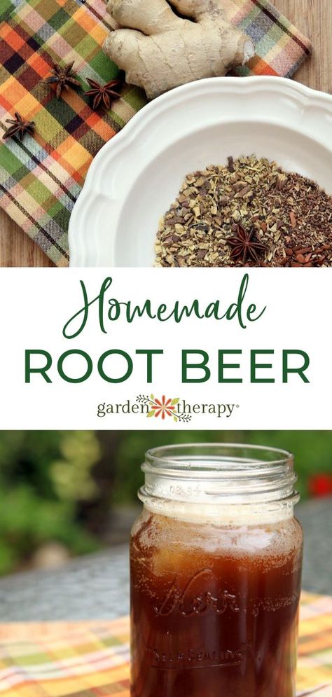 Root Beer Recipes, Homemade Root Beer Recipe, Homemade Root Beer, Root Beer Recipe, Family Drinks, Homemade Rootbeer, Fermented Drinks, Mead Recipe, Beer Recipe