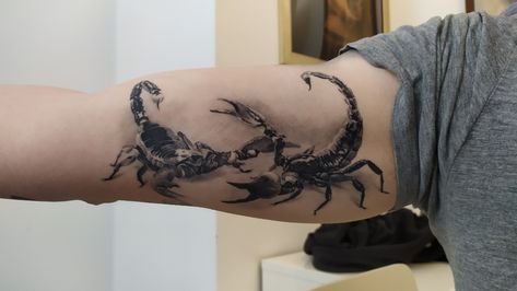 Scorpion Bicep Tattoo, Scorpion Tattoo, Bicep Tattoo, Grey Tattoo, Scorpion, Tattoo Design Drawings, Tattoos For Guys, I Tattoo, Art Tattoo